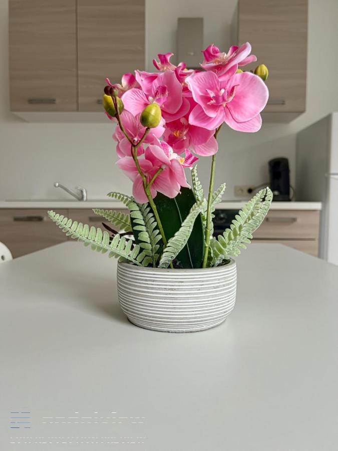 Wauters 77 Bruxelles -Charleroi-Airport Apartman Kültér fotó